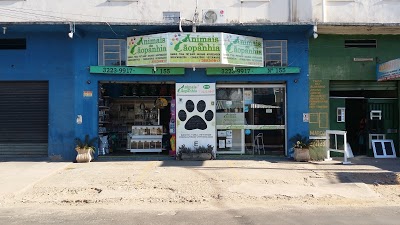 Animais De Cãopanhia foto 3