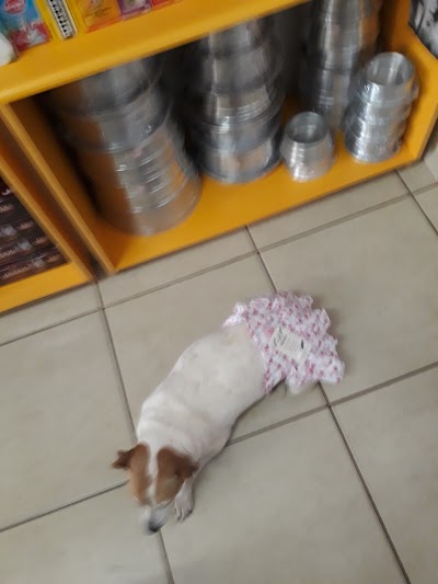 Animascote foto 1