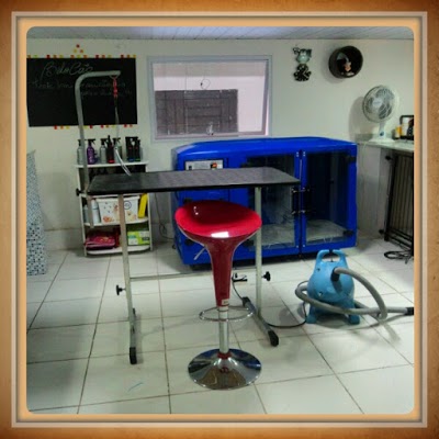 Belo Cão Banho e Tosa foto 2