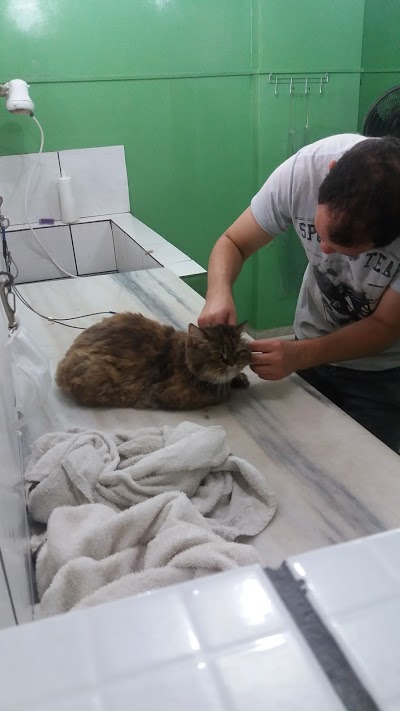 Bichos & Mimos foto 1