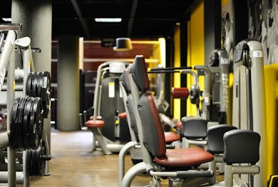 D2 Fit foto 1