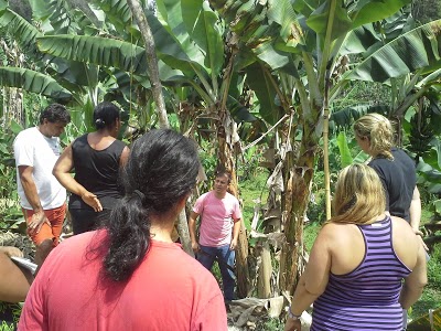Empresa de Assist Tec e Extensão Rural do Estado foto 2