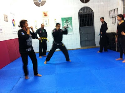 INSTITUTO CULTURAL DE ARTES MARCIAIS KIDOKKYO - IHF / CLUBE DA LUTA foto 2