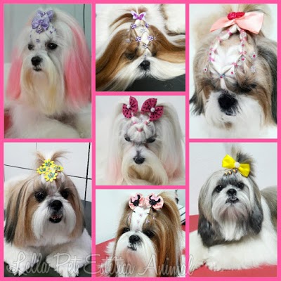 Lella Pet Estetica Animal foto 2