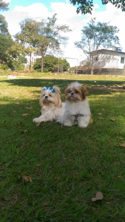 Nutricampos Pet Shop foto 4