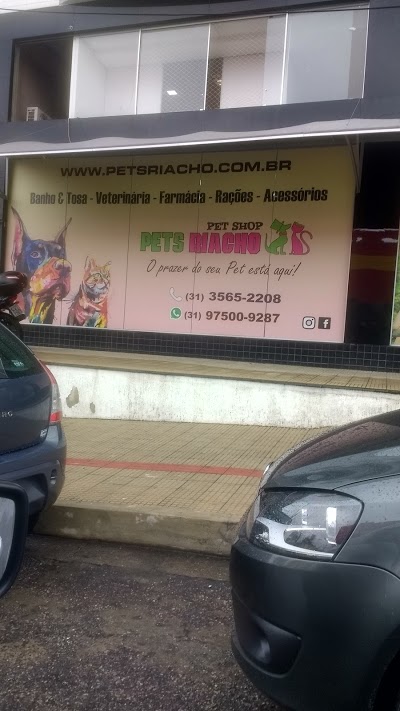 O bicho vai pegar Pet Shop foto 4