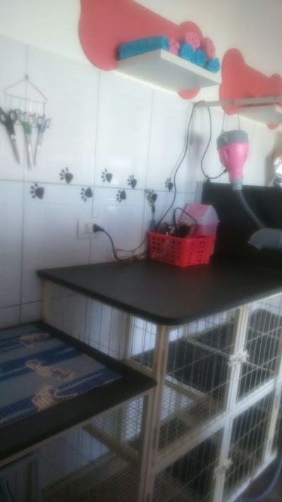 Peludinhos Pet Shop foto 5