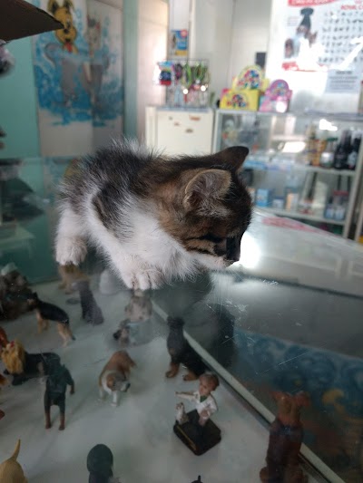 Peludos e Charmosos - Pet Shop e Veterinária foto 1