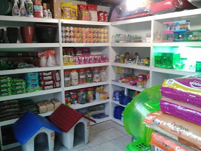 Pet Shop Arca de Noé foto 3
