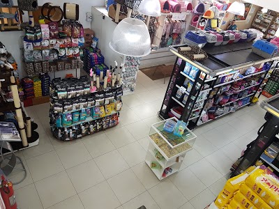 Pet Shop do Patinho foto 1