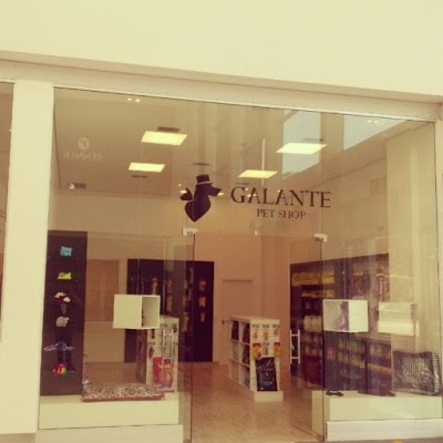 Pet Shop Galante foto 3
