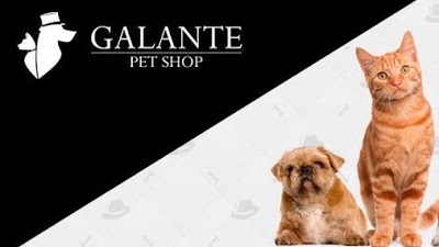 Pet Shop Galante foto 2