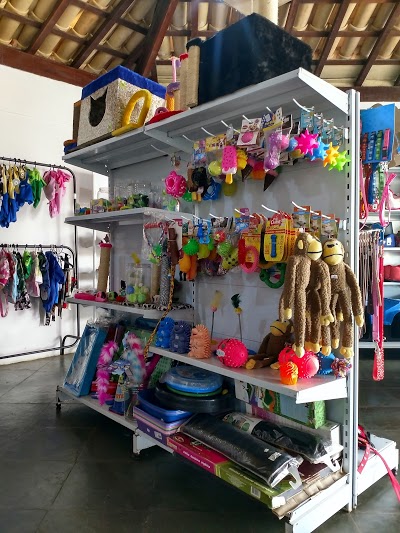 Pet Shop Late & Mia/ Oliveira MG foto 5