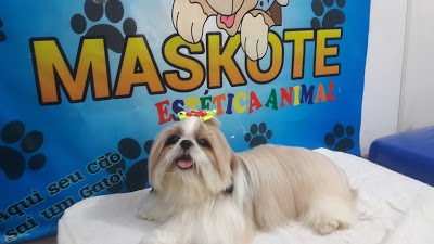 PET SHOP MASKOTE foto 3