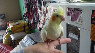 Pet Shop Mimo Dos Bichos foto 3
