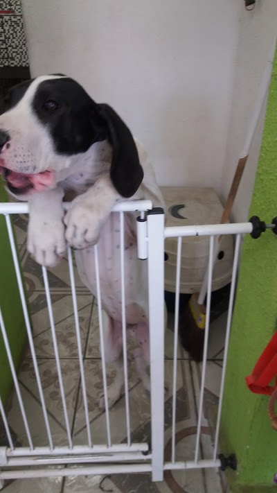 Pet Shop Paraíso das Rações Clínica Veterinária foto 4