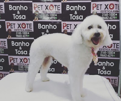 Petxote/Racoes/banho e tosa/pet shop foto 5