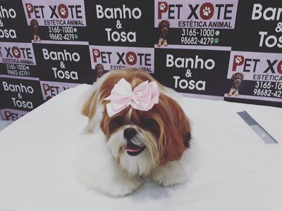 Petxote/Racoes/banho e tosa/pet shop foto 3