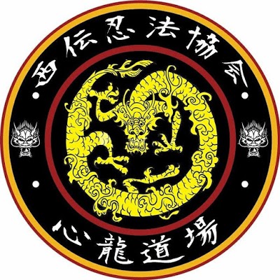 Shin Ryuu Dojo Ninjutsu Pouso Alegre MG foto 4