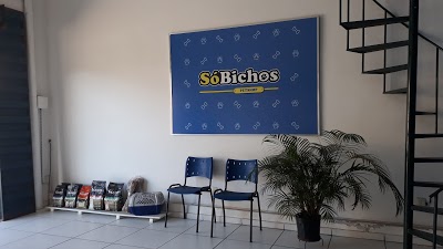 SóBichos PetShop foto 3