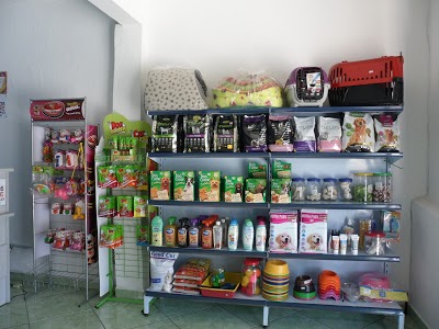 SPLASH PET SHOP foto 1